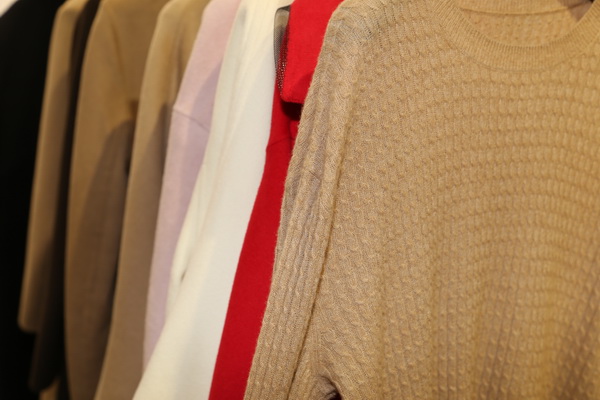 “絲駝”又一鐘情于駝絨產(chǎn)業(yè)的企業(yè)，綻放2023intertextile
