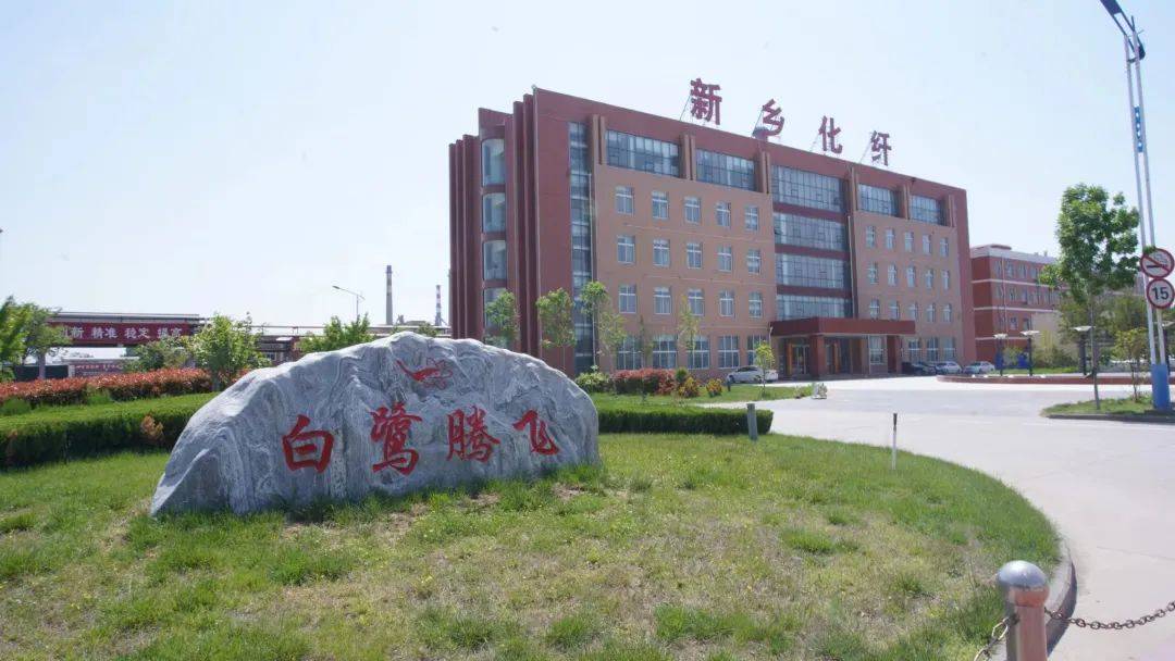 以草代木、天然抗菌、可自然降解，新鄉(xiāng)化纖開創(chuàng)新的“傳奇”——菌草纖維 