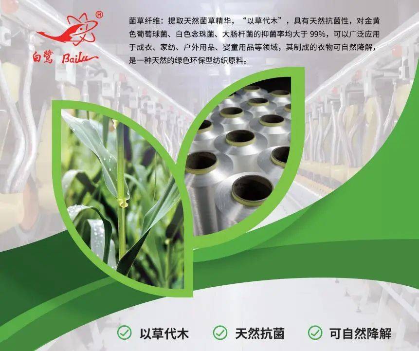 以草代木、天然抗菌、可自然降解，新鄉(xiāng)化纖開創(chuàng)新的“傳奇”——菌草纖維 